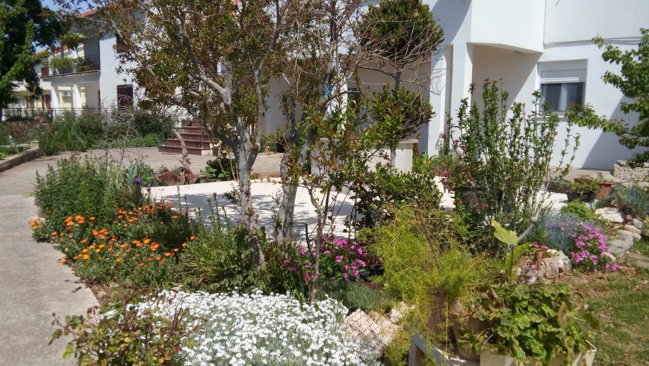 Apartman La Maison Zadar Zewnętrze zdjęcie
