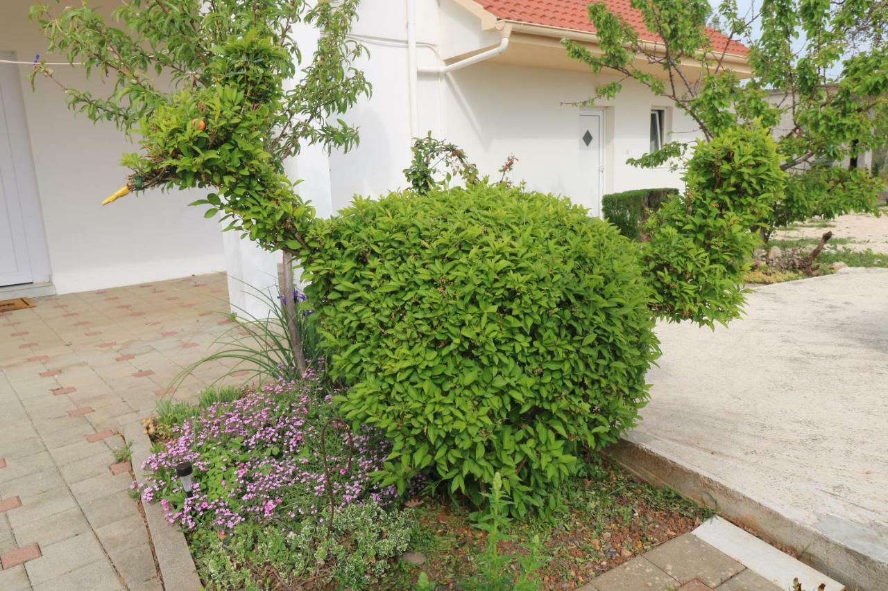 Apartman La Maison Zadar Zewnętrze zdjęcie